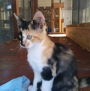 Meet your Posher, Jackie